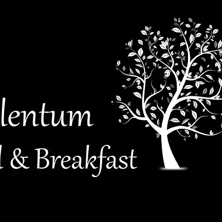 Bed & Breakfast Cilentum *