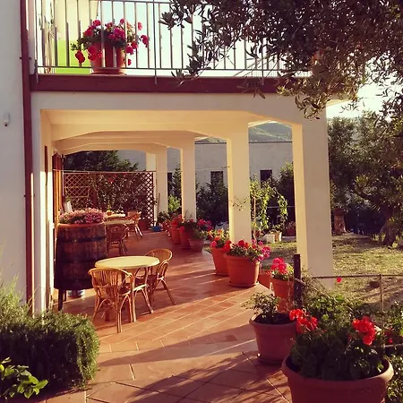 Bed & Breakfast Cilentum *